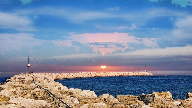 华体会hth公司：国贸有没有乒乓球台